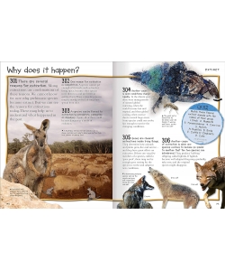 Fantastic Animal Facts