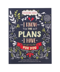 Coloring Book I Know The Plans Clr045