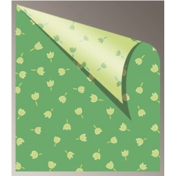 Cardboard Jansen Tulips 50X70 300Gsm 305720.50 Green