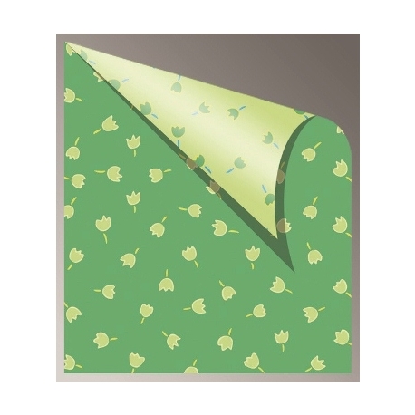 Cardboard Jansen Tulips 50X70 300Gsm 305720.50 Green