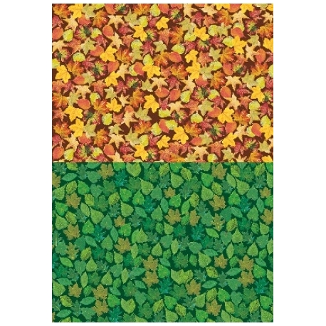 Cardboard Jansen Living Nature 50X70 300G Yelloqw/Green 307200