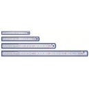 Ruler Deli Steel 20Cm 8462