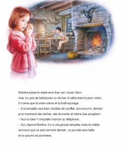 Martine L Arche Des Animaux T53