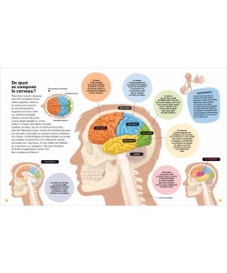 Mon Cerveau