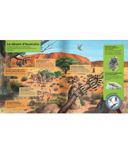 Questions Reponses 5+ Les Animaux Sauvages 03