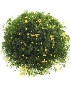 Craft For All Sponge Medium Size Yellow Fruit Decoration 20G