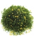 Sponge Medium Size Yellow Fruit Decoration