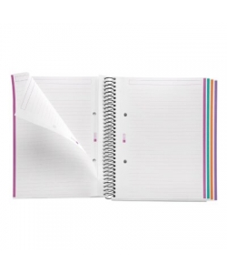 Notebook Mr Leaves In The Wind A5 Ruled 4Sub 100Sh 70G Spiral 4056