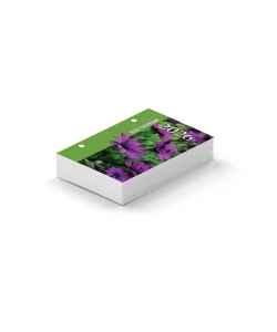 Bloc Calendar Bf 750B 2026