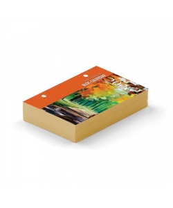 Bloc Calendar Bf 750D Golden Edge 2026