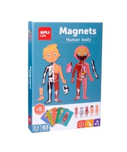 Magnets Apli The Human Body 63/Pack 18531