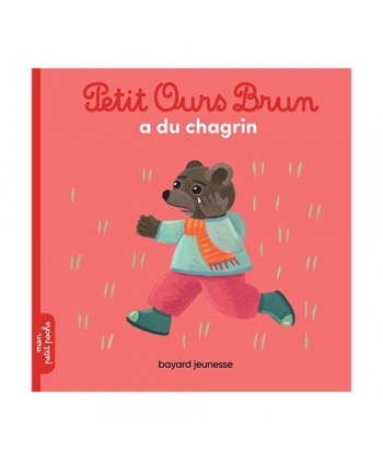 Petit Ours Brun Poche - A Du Chagrin