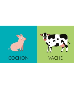 Boite Premiers Pas - Imagier Cube