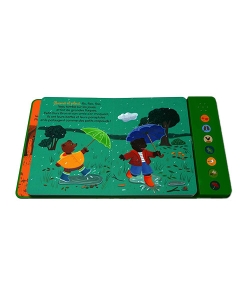 Petit Ours Brun Ecoute La Nature