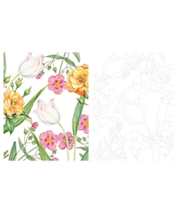 Jolie Promenade Dans La Nature 35 Planches Auarelle Ou Coloriage