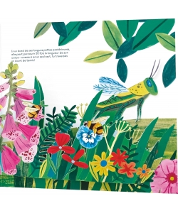 A La Decouverte Des P Tites Betes - Un Livre Pop-Up