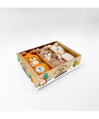Coffret Mes Jolies Chaussettes Toutes D Ours