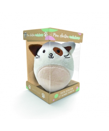 Coffret Mon Chaton Antistress