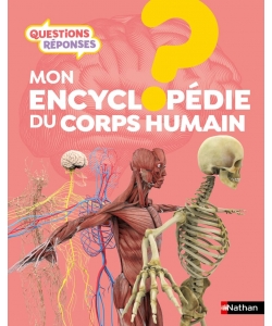 Questions Reponses 7+ Mon Encyclopedie Du Corps Humain