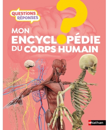 Questions Reponses 7+ Mon Encyclopedie Du Corps Humain