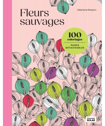 100 Coloriages - Fleurs Sauvages