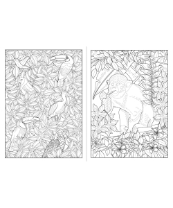 100 Coloriages - Jardin Exotique
