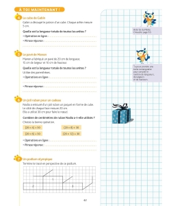 Chouette - Resolution De Problemes Ce2 Nouveau Programme