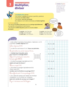 Chouette - Resolution De Problemes Cm1 Nouveau Programme