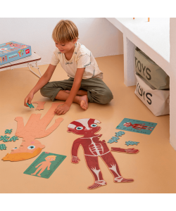 Puzzle Human Body 240/Pack - Apli