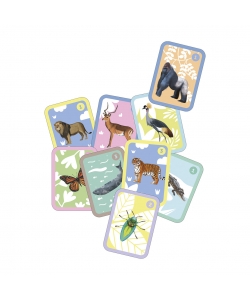 Card Games Families - Apli