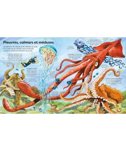 Mon Grand Livre Depliants Des Animaux Marins - Des 4 Ans