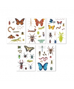Sticker Realistic Insects 50/Pack - Apli