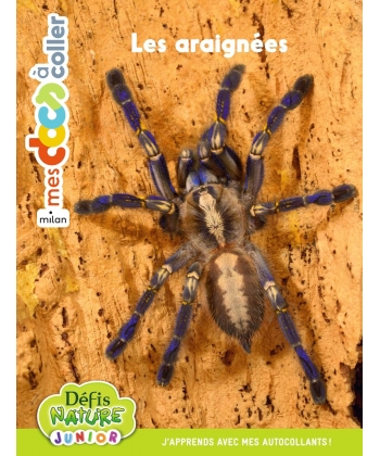 Mes Docs A Coller - Les Araignees