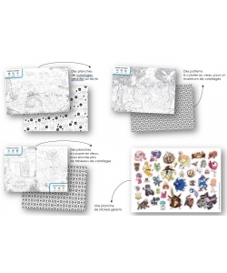 Pokemon Mes Coloriages Cherche Et Trouve Geants