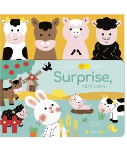 Surprise, Petit Lapin ! +4 Marionnettes A Doigts