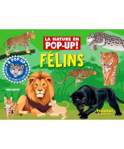 La Nature En Pop-Up - Felins