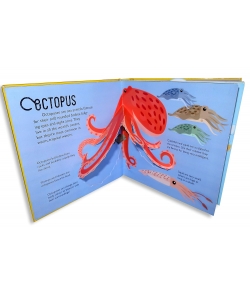 Saisissants Pop-Up - Ocean