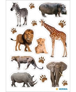 Sticker Decor Africa Animals
