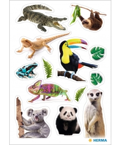 Sticker Decor Exotic Animals