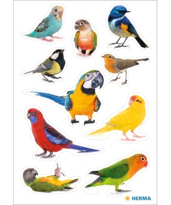 Sticker Decor Birds