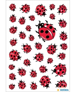 Funny Ladybird - Sticker Herma
