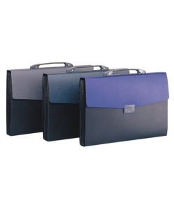 Expanding File Comix Pp F/C 13 Pockets W/Handle Assorted A1349