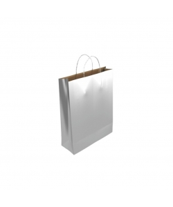 Gift Bag Bismark Kraft 24X10X32Cm Silver 329849
