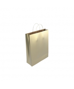 Gift Bag Bismark Kraft 24X10X32Cm Gold 329845
