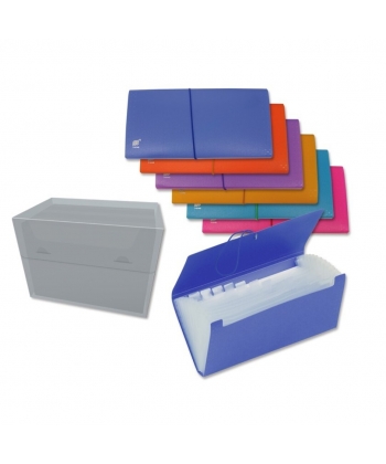 Expanding File Bismark 26X14 12 Pockets W/Elastic Neon