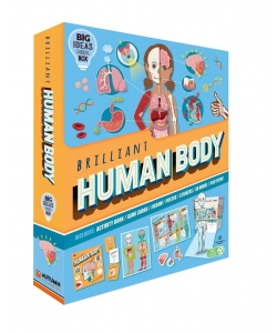 Box Brilliant Human Body