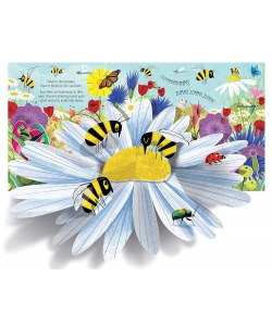 Usborne Pop-Up Nature