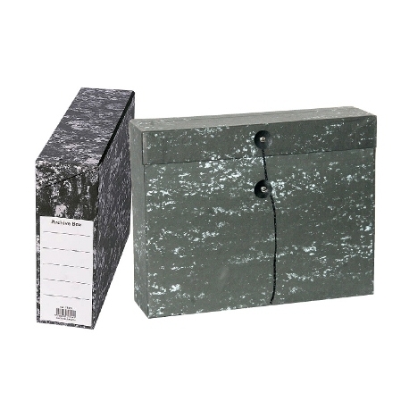 Archive Box Cardboard Noble 2010 39X30X10 Cm