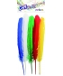 Craft For All Assorted Turkey Feather 5Pcs 25-30Cm Ca-162