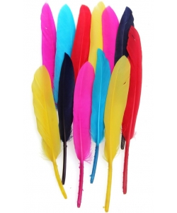 Craft For All Assorted Goose Feathers 20Pcs 12-18Cm Ca-160